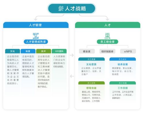 北森 2022中国人力资源管理年度观察 解析人才管理大挑战